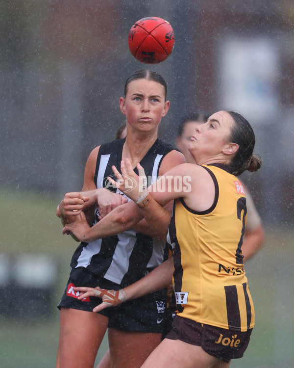 VFLW 2025 Round 08 - Collingwood v Box Hill Hawks - A-59521867