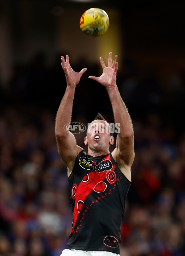 AFL 2025 Round 10 - Western Bulldogs v Essendon - A-59521919