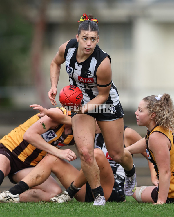 VFLW 2025 Round 08 - Collingwood v Box Hill Hawks - A-59525280