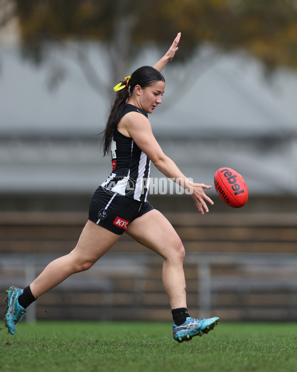 VFLW 2025 Round 08 - Collingwood v Box Hill Hawks - A-59525283