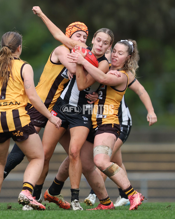 VFLW 2025 Round 08 - Collingwood v Box Hill Hawks - A-59525285