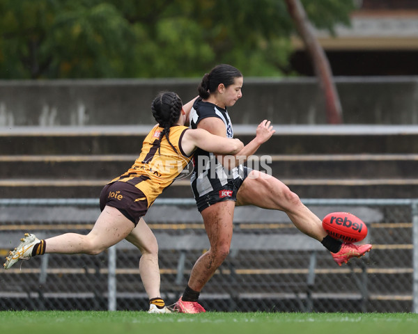 VFLW 2025 Round 08 - Collingwood v Box Hill Hawks - A-59525286