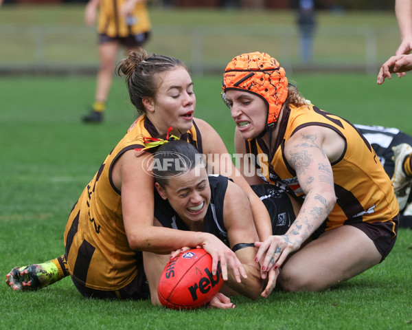 VFLW 2025 Round 08 - Collingwood v Box Hill Hawks - A-59525287