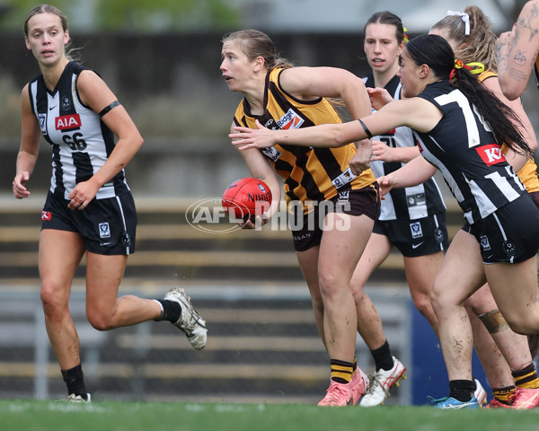VFLW 2025 Round 08 - Collingwood v Box Hill Hawks - A-59525289