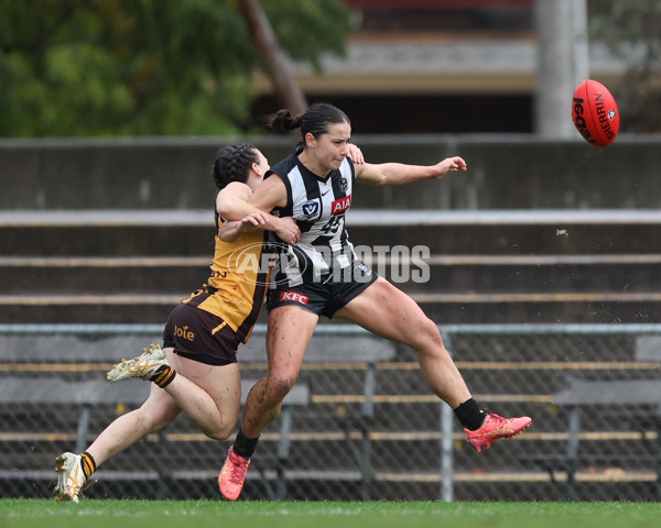 VFLW 2025 Round 08 - Collingwood v Box Hill Hawks - A-59525290