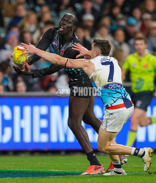 AFL 2025 Round 10 - Yartapuulti v Geelong - A-59527715