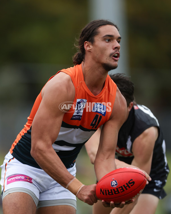 VFL 2025 Round 08 - Collingwood v GWS Giants - A-59532383