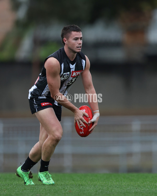 VFL 2025 Round 08 - Collingwood v GWS Giants - A-59532392