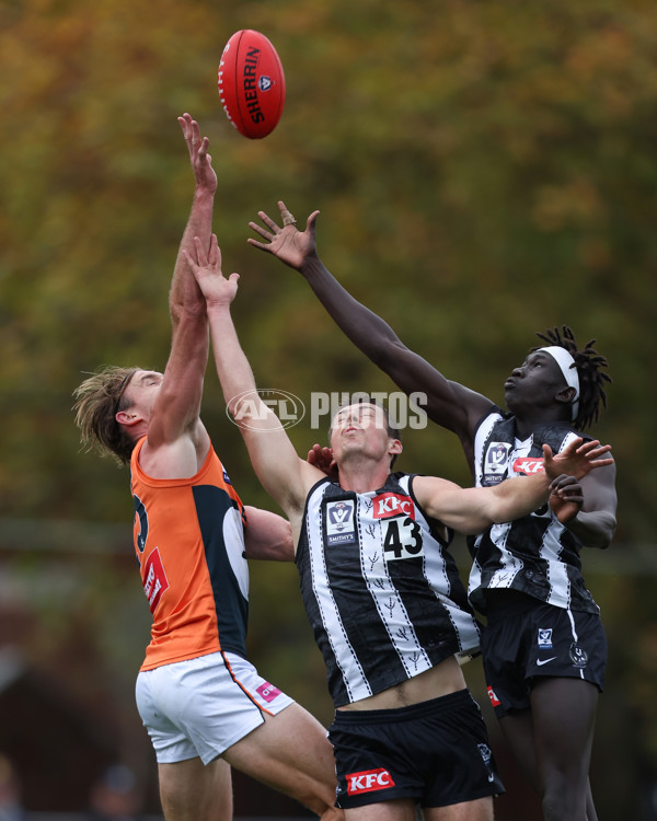 VFL 2025 Round 08 - Collingwood v GWS Giants - A-59532394