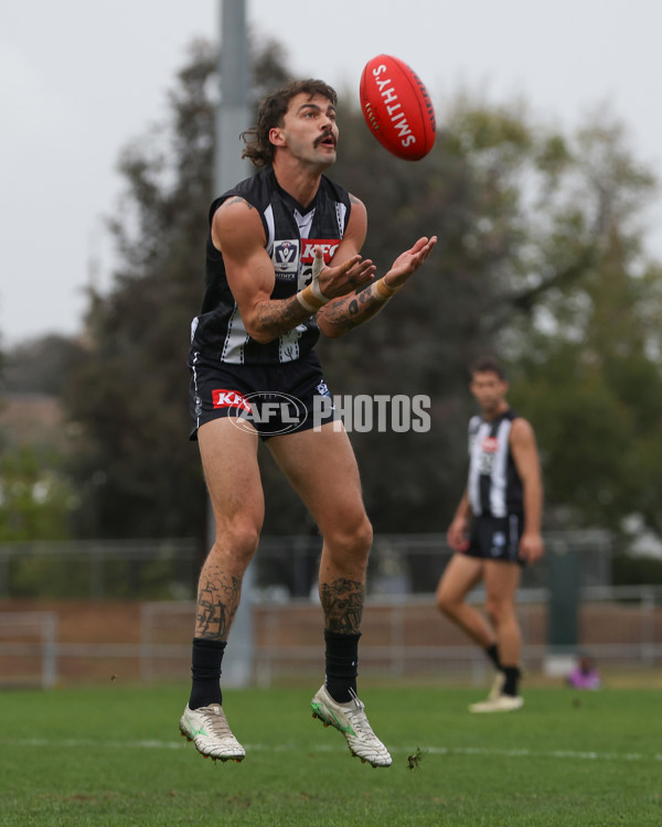 VFL 2025 Round 08 - Collingwood v GWS Giants - A-59532399