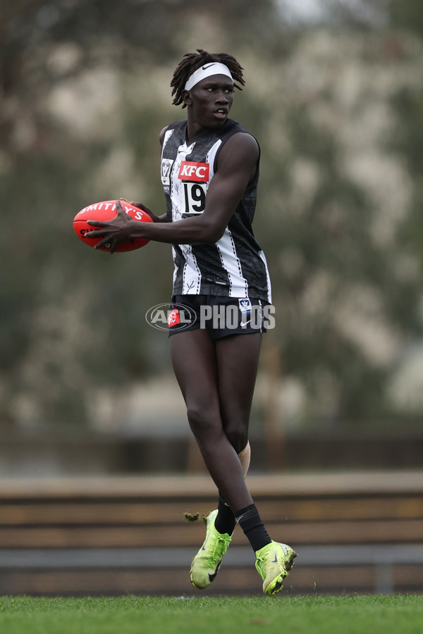VFL 2025 Round 08 - Collingwood v GWS Giants - A-59532402