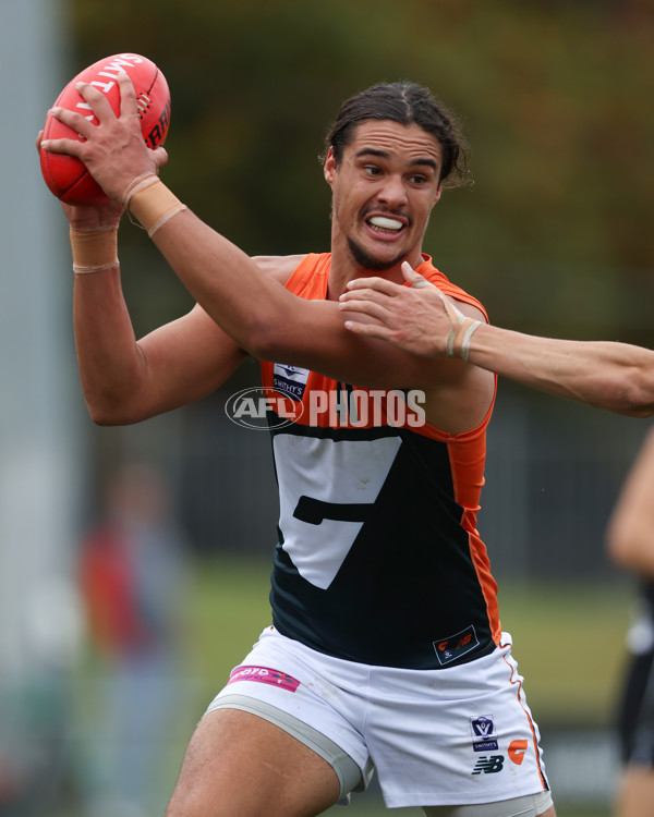 VFL 2025 Round 08 - Collingwood v GWS Giants - A-59532403