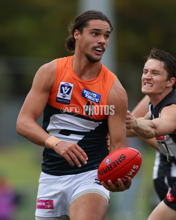 VFL 2025 Round 08 - Collingwood v GWS Giants - A-59532404