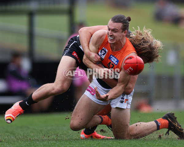 VFL 2025 Round 08 - Collingwood v GWS Giants - A-59532477
