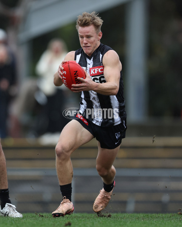 VFL 2025 Round 08 - Collingwood v GWS Giants - A-59532485