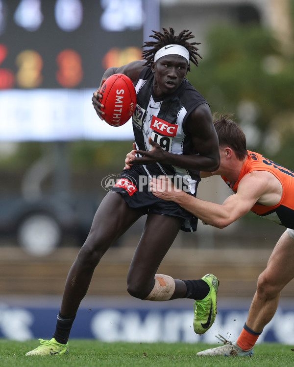 VFL 2025 Round 08 - Collingwood v GWS Giants - A-59532487