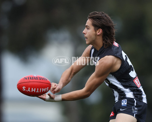 VFL 2025 Round 08 - Collingwood v GWS Giants - A-59532490