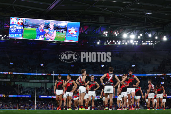 AFL 2025 Round 10 - Western Bulldogs v Essendon - A-59534856