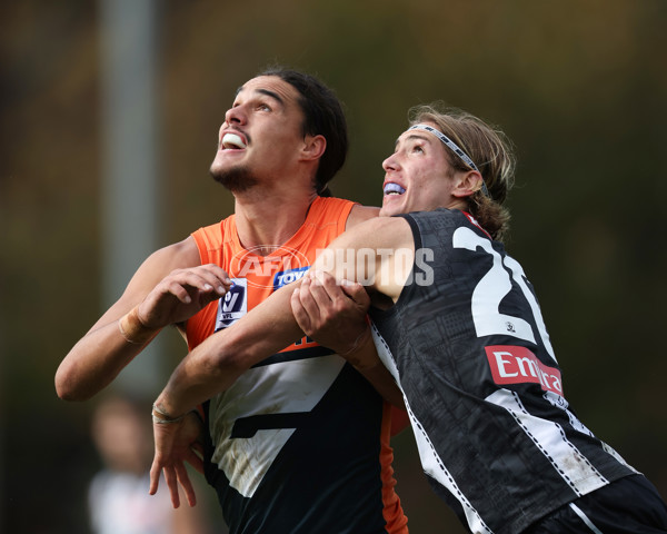 VFL 2025 Round 08 - Collingwood v GWS Giants - A-59534894