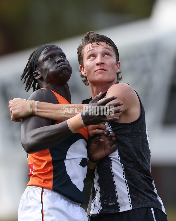 VFL 2025 Round 08 - Collingwood v GWS Giants - A-59534901