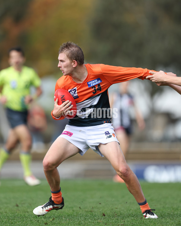 VFL 2025 Round 08 - Collingwood v GWS Giants - A-59535292