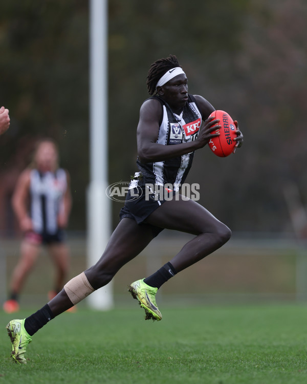 VFL 2025 Round 08 - Collingwood v GWS Giants - A-59535303
