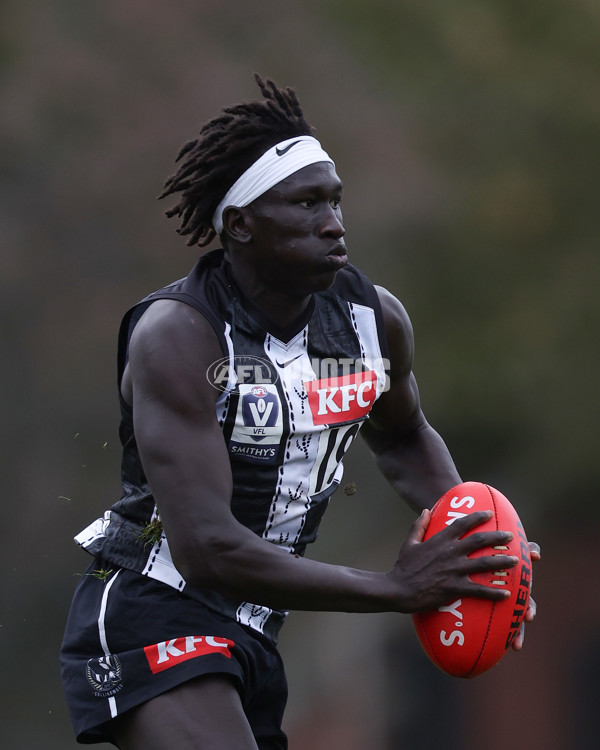 VFL 2025 Round 08 - Collingwood v GWS Giants - A-59535310