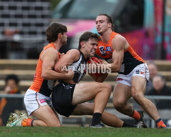 VFL 2025 Round 08 - Collingwood v GWS Giants - A-59535311
