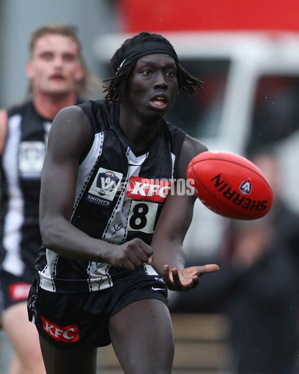 VFL 2025 Round 08 - Collingwood v GWS Giants - A-59535356