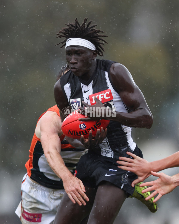 VFL 2025 Round 08 - Collingwood v GWS Giants - A-59535357