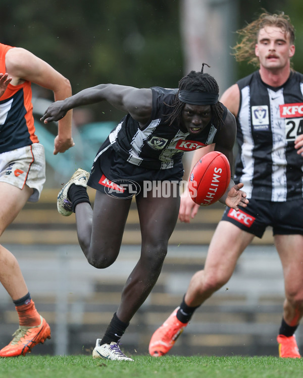 VFL 2025 Round 08 - Collingwood v GWS Giants - A-59537308
