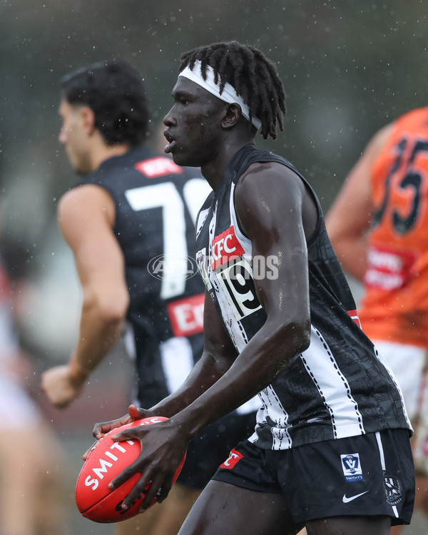 VFL 2025 Round 08 - Collingwood v GWS Giants - A-59537309