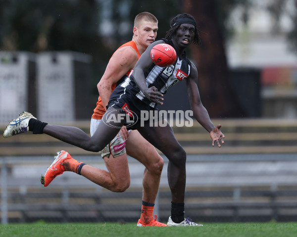 VFL 2025 Round 08 - Collingwood v GWS Giants - A-59537310