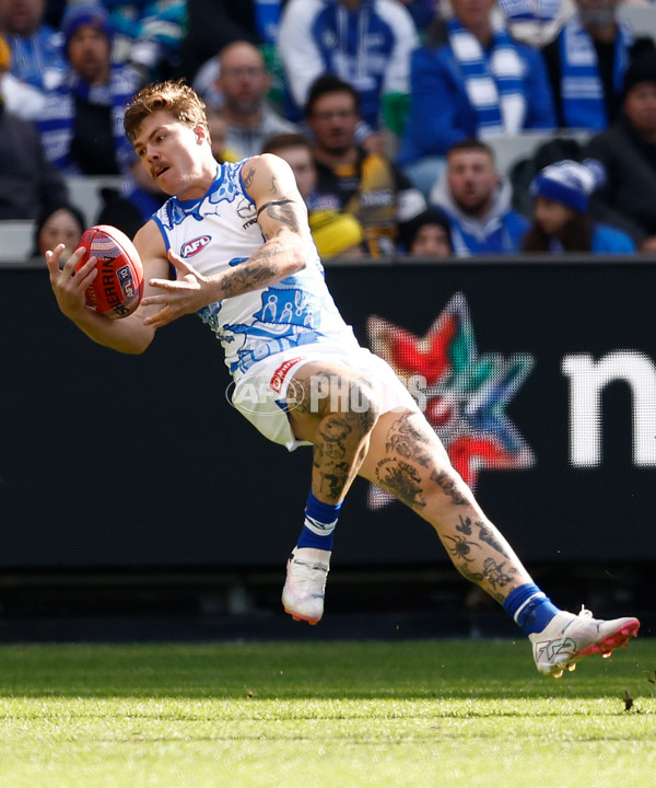 AFL 2025 Round 10 - Richmond v North Melbourne - A-59537350