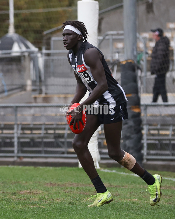 VFL 2025 Round 08 - Collingwood v GWS Giants - A-59537886