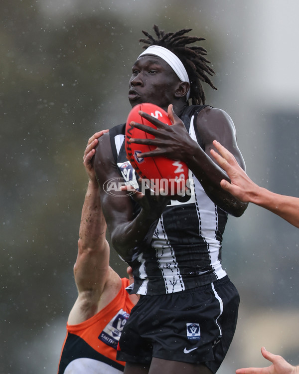 VFL 2025 Round 08 - Collingwood v GWS Giants - A-59537888