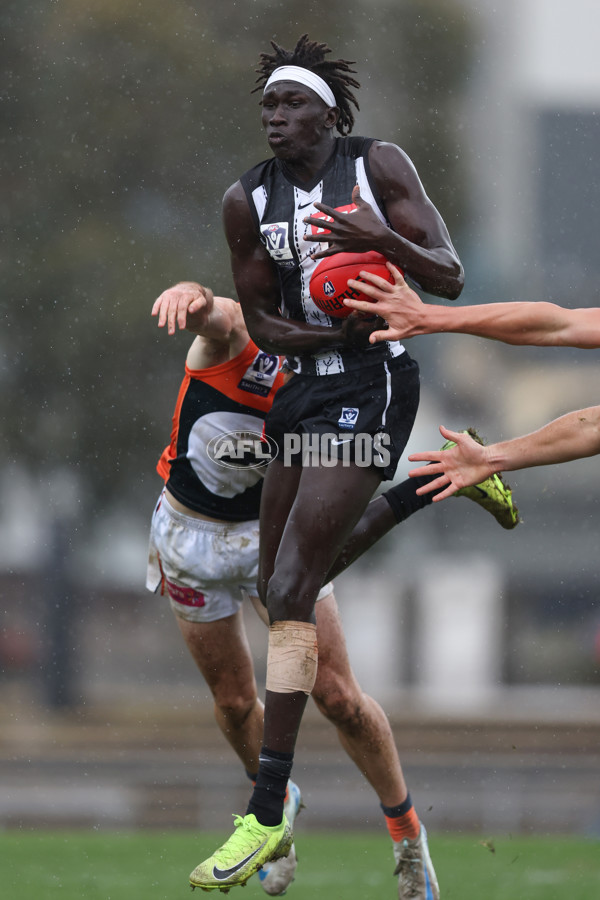VFL 2025 Round 08 - Collingwood v GWS Giants - A-59537889