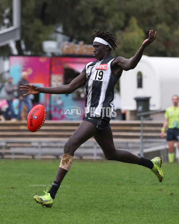 VFL 2025 Round 08 - Collingwood v GWS Giants - A-59537891