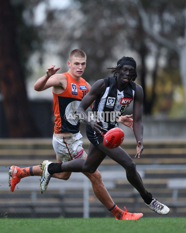 VFL 2025 Round 08 - Collingwood v GWS Giants - A-59537893