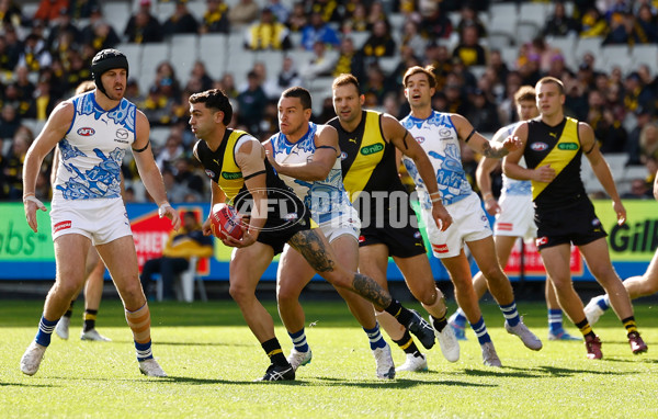 AFL 2025 Round 10 - Richmond v North Melbourne - A-59540025