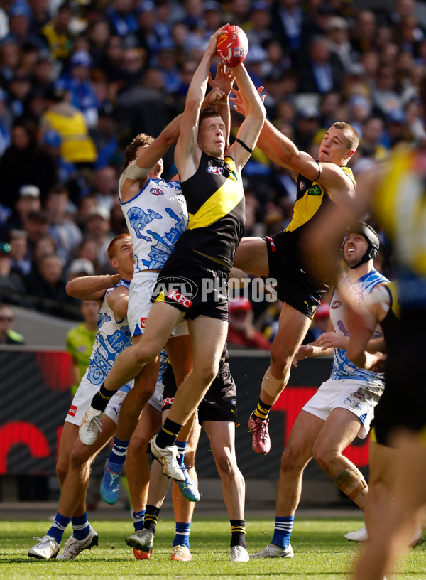 AFL 2025 Round 10 - Richmond v North Melbourne - A-59540069