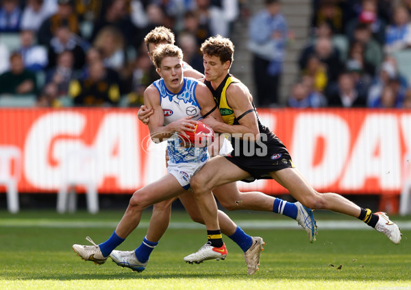 AFL 2025 Round 10 - Richmond v North Melbourne - A-59540073