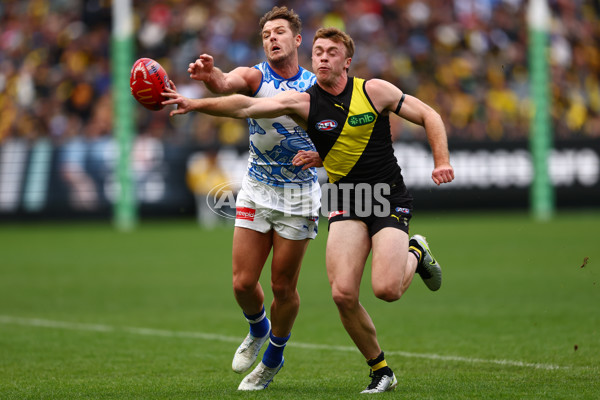 AFL 2025 Round 10 - Richmond v North Melbourne - A-59540845