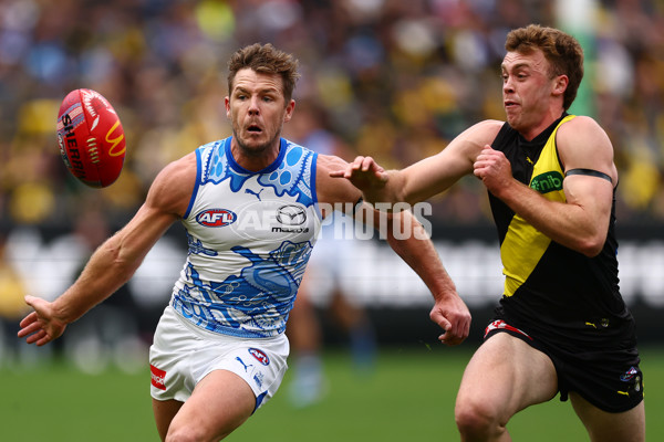 AFL 2025 Round 10 - Richmond v North Melbourne - A-59540846