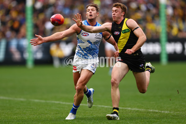 AFL 2025 Round 10 - Richmond v North Melbourne - A-59540847