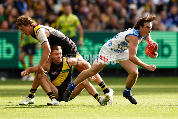 AFL 2025 Round 10 - Richmond v North Melbourne - A-59540878