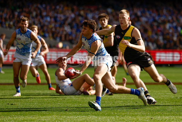 AFL 2025 Round 10 - Richmond v North Melbourne - A-59540902