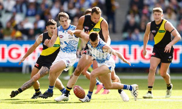 AFL 2025 Round 10 - Richmond v North Melbourne - A-59540905