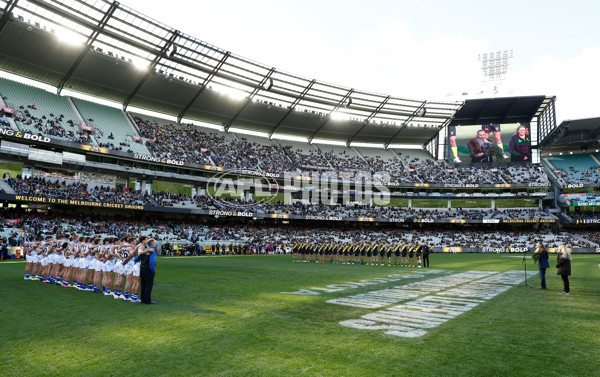 AFL 2025 Round 10 - Richmond v North Melbourne - A-59543144