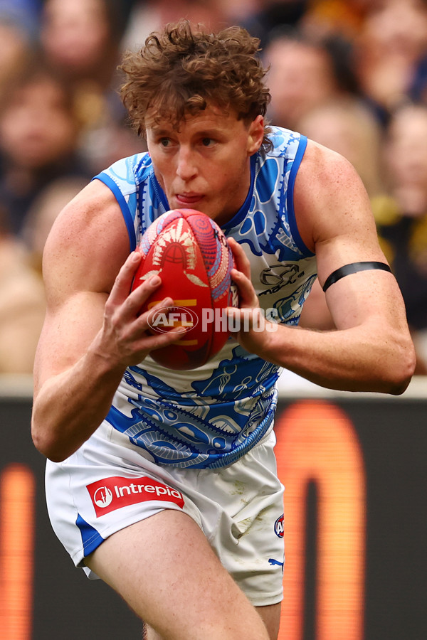 AFL 2025 Round 10 - Richmond v North Melbourne - A-59543210